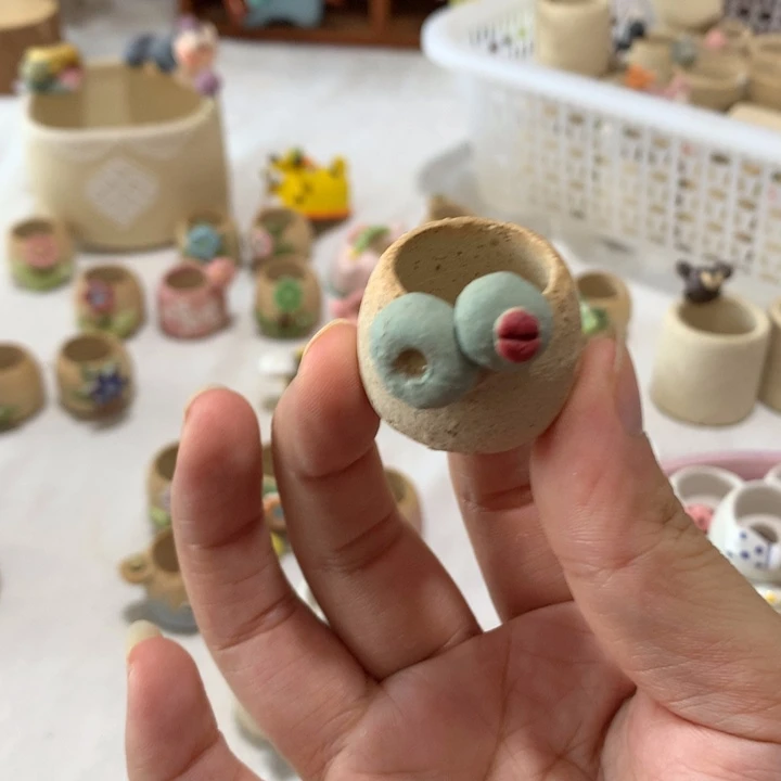 多肉花盆多肉花盆