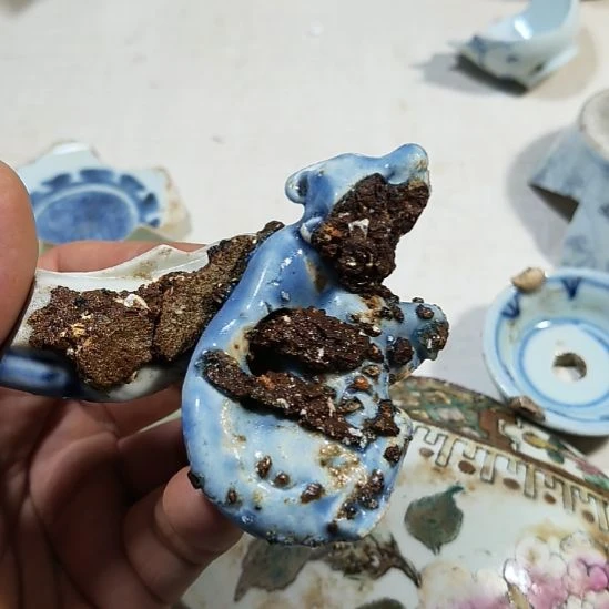 游***鹤瓷片瓷片瓷片瓷片瓷片
