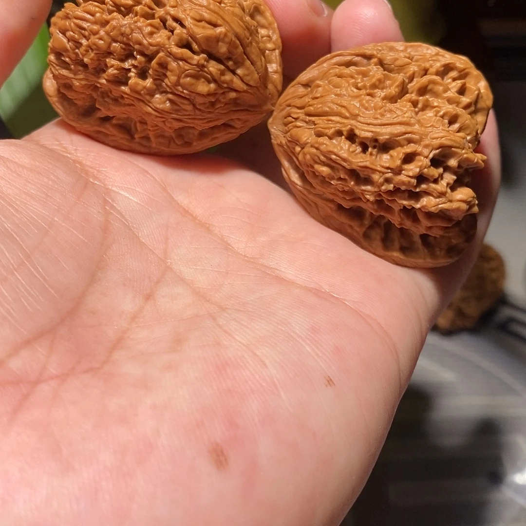 文玩核桃把件007天残脚南疆石40尺