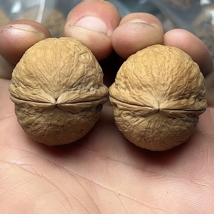 把件文玩核桃38号金蟒35尺