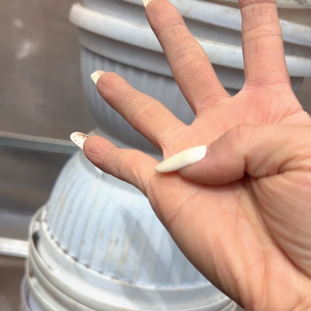 白元宝盆24口径13高 5个