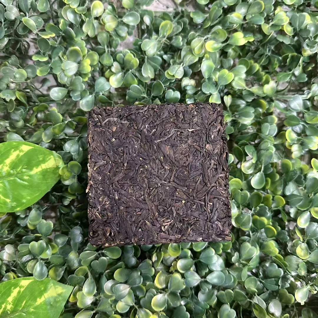 雨腾古茶 吴氏X世之珍S计划“全JD”紫芽砖古树普洱茶200g/砖 生茶