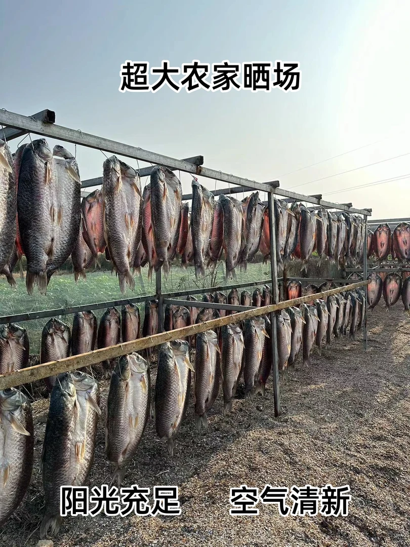 洪湖整条腊草鱼湖北特产农家晾晒腊鱼淡水咸鱼纯手工腌制干鱼干货