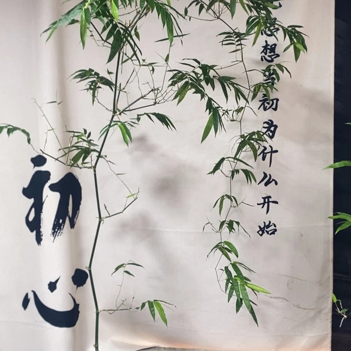 毛***豆无花朵退款拉黑一物一拍185
