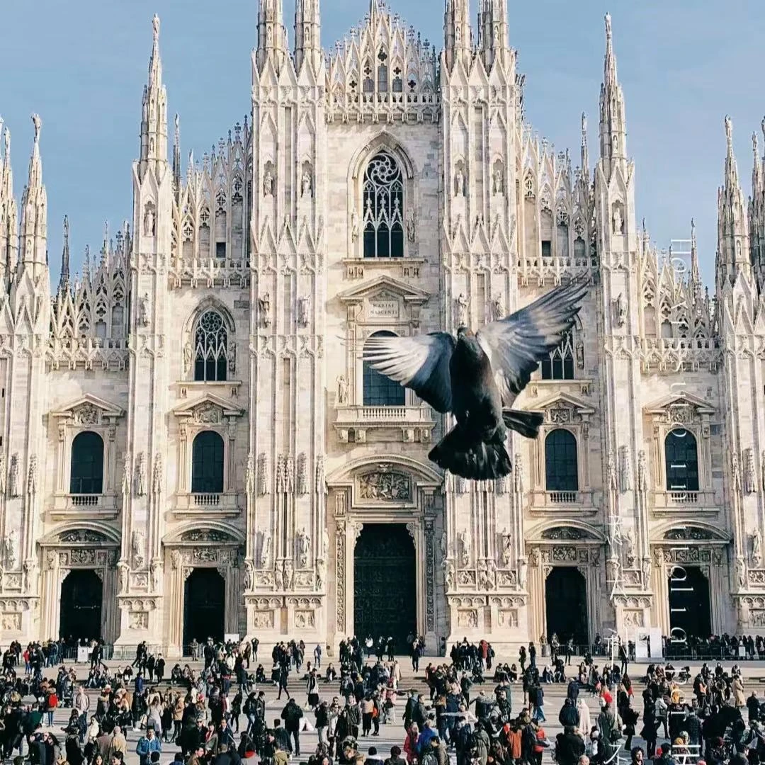 XL-X6-264-设计师联名款POLO衫-7.99999999