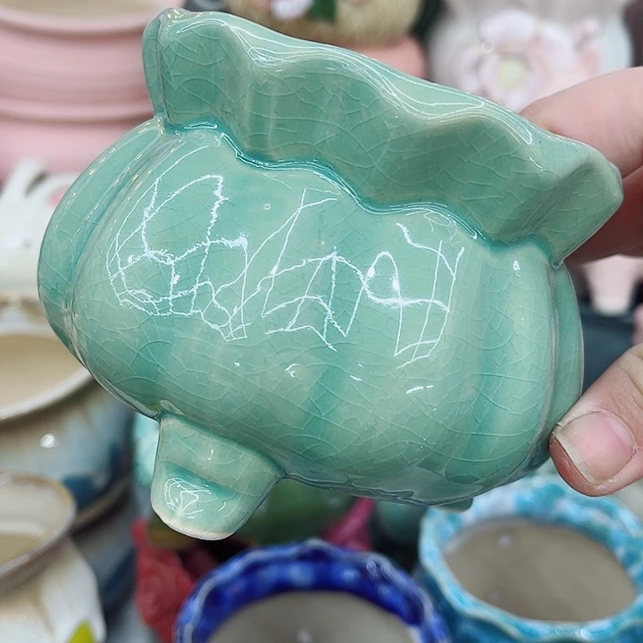 多肉植物陶瓷花盆