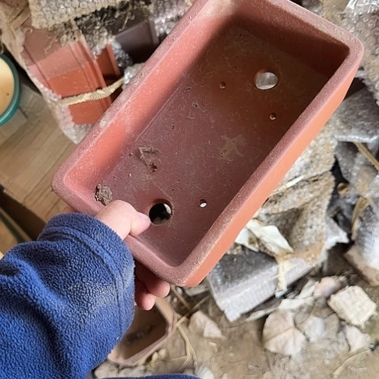 是一个不知名作家与著名导演兼电影演员们之间