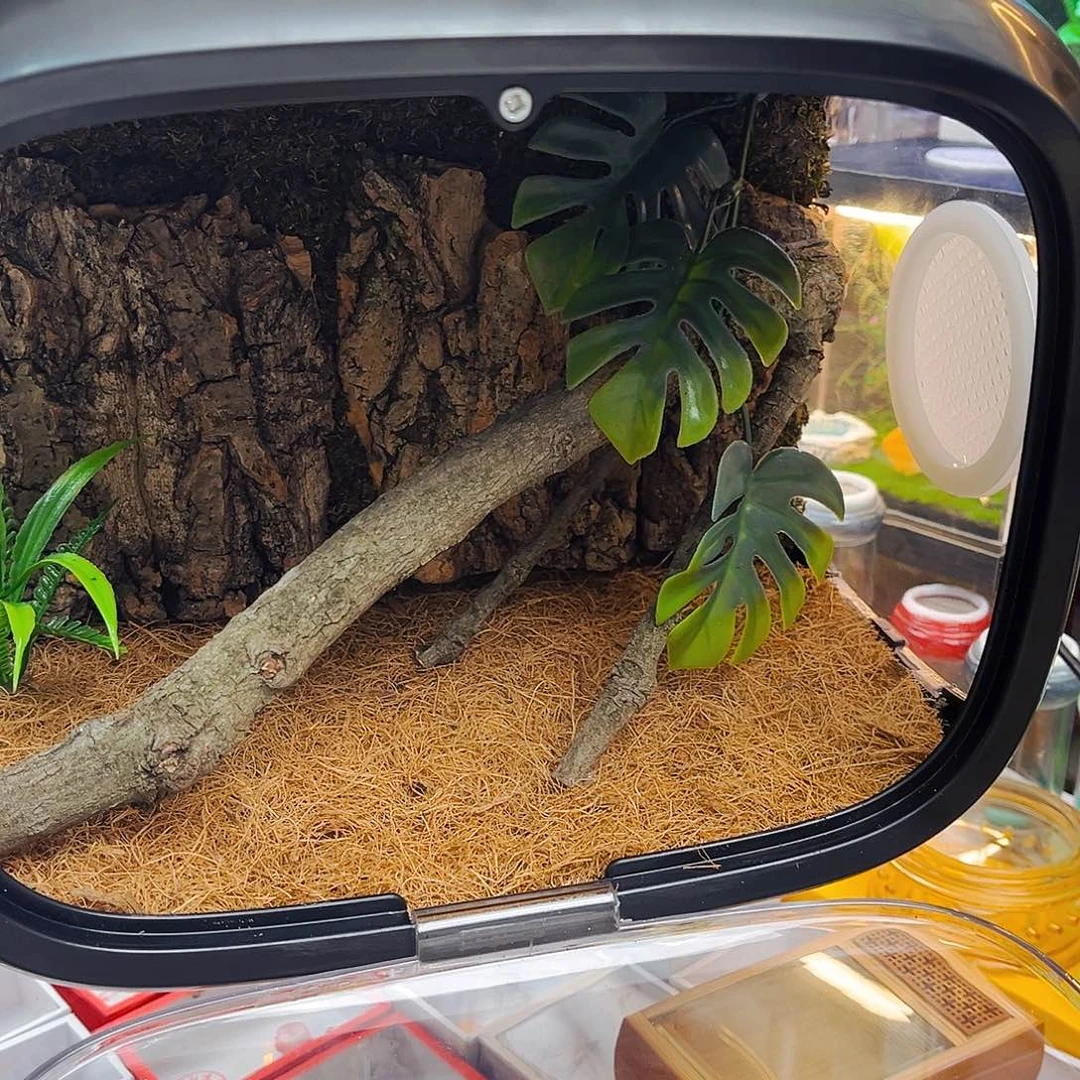 太空仓加素贝哈哈哈哈