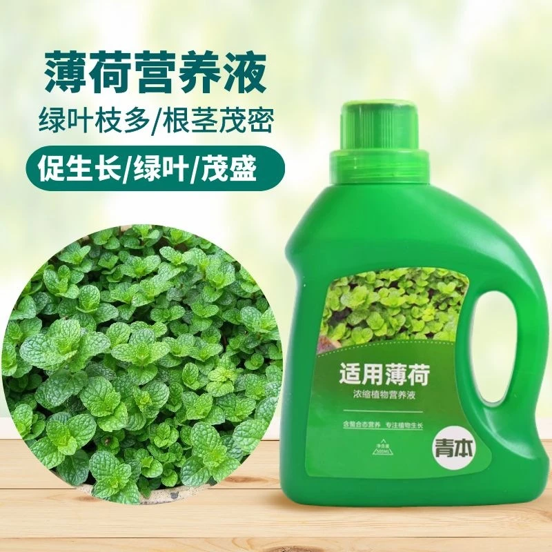 薄荷营养液肥料专用肥室内薄荷草土培水培家