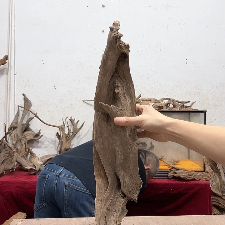 柏木洋**龙我们都是好孩子呀我也是