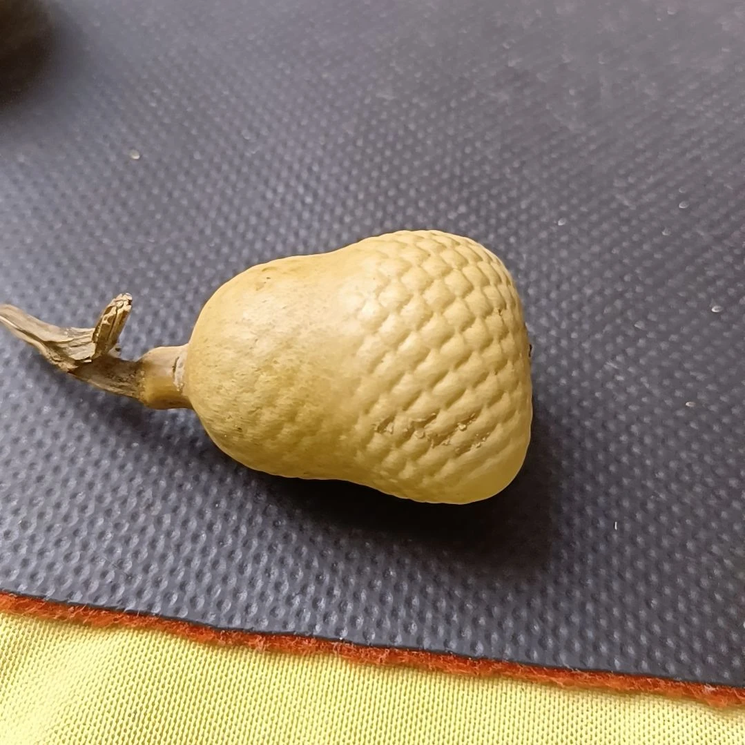 你****鱼全品无瑕厚皮鱼籽钱袋葫芦