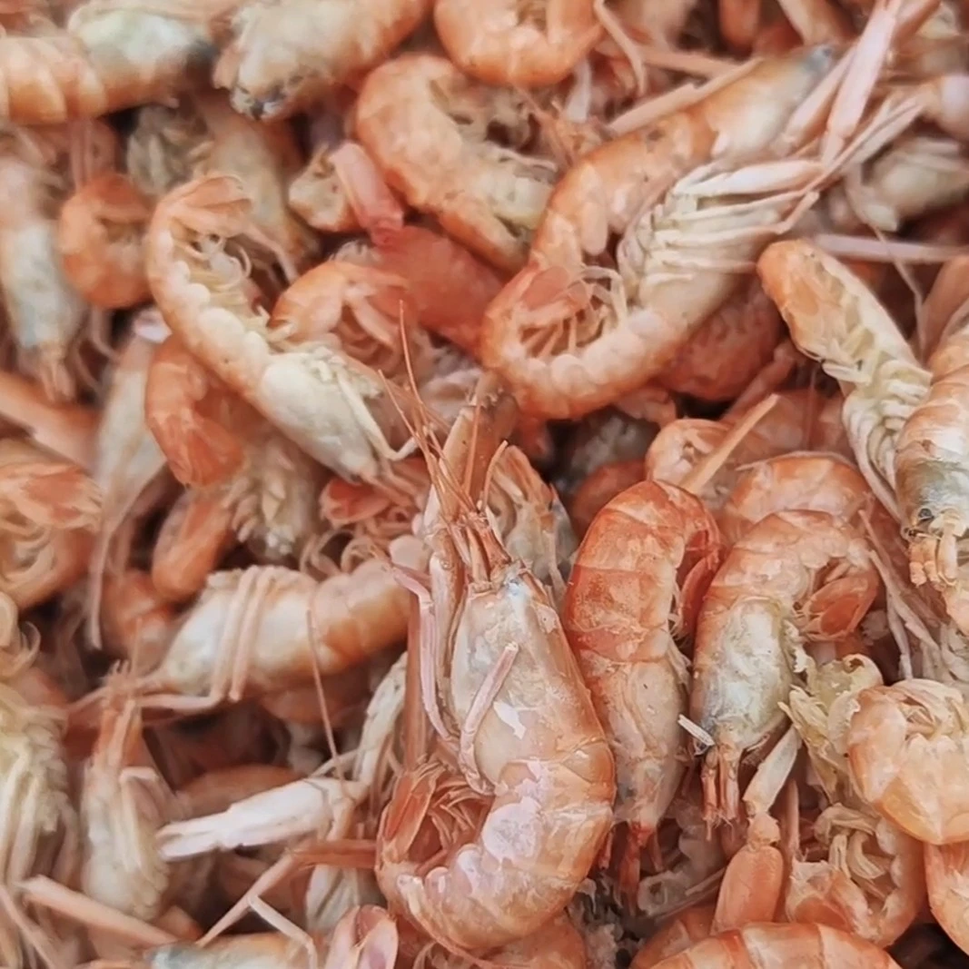 海虾小爪虾3斤（熟的不咸好吃）