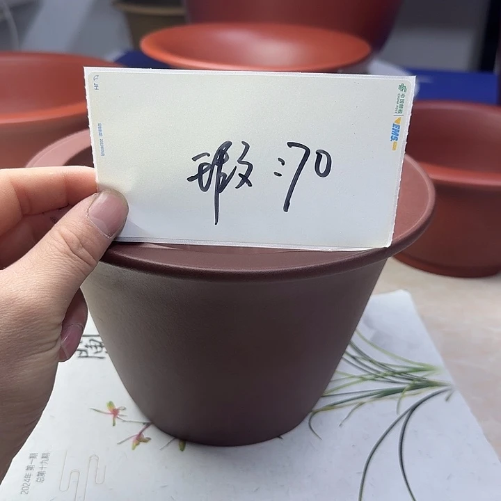 春秋花盆精品兰盆