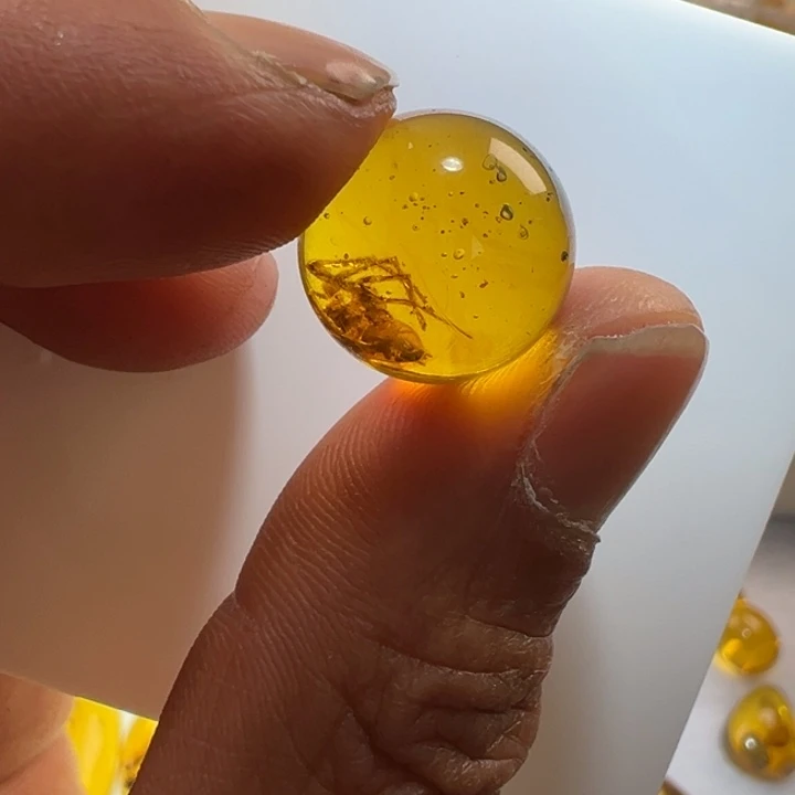 琥珀裸石未镶嵌堂**正