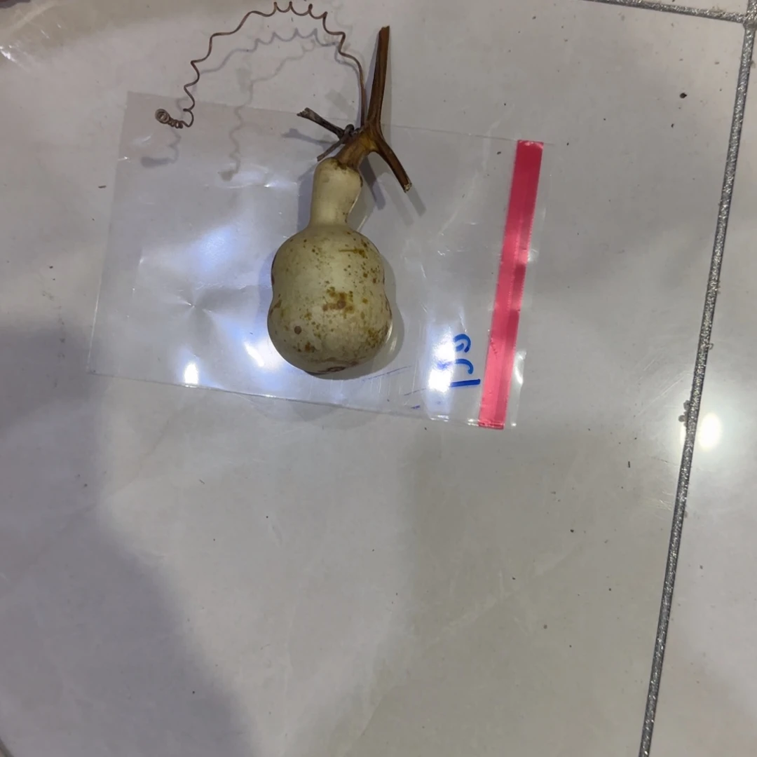 东***龙青皮不包成：这两条裙子就算完