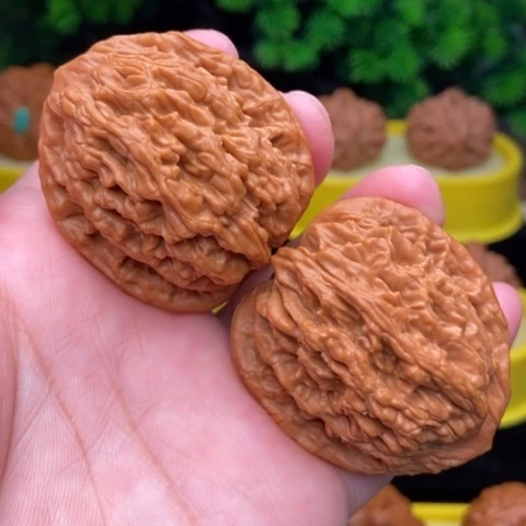 麦虎40全品11111