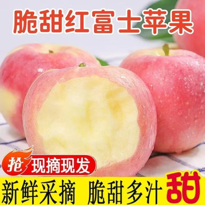 陕西新鲜现摘红富士苹果脆甜多汁当季水果包邮C
