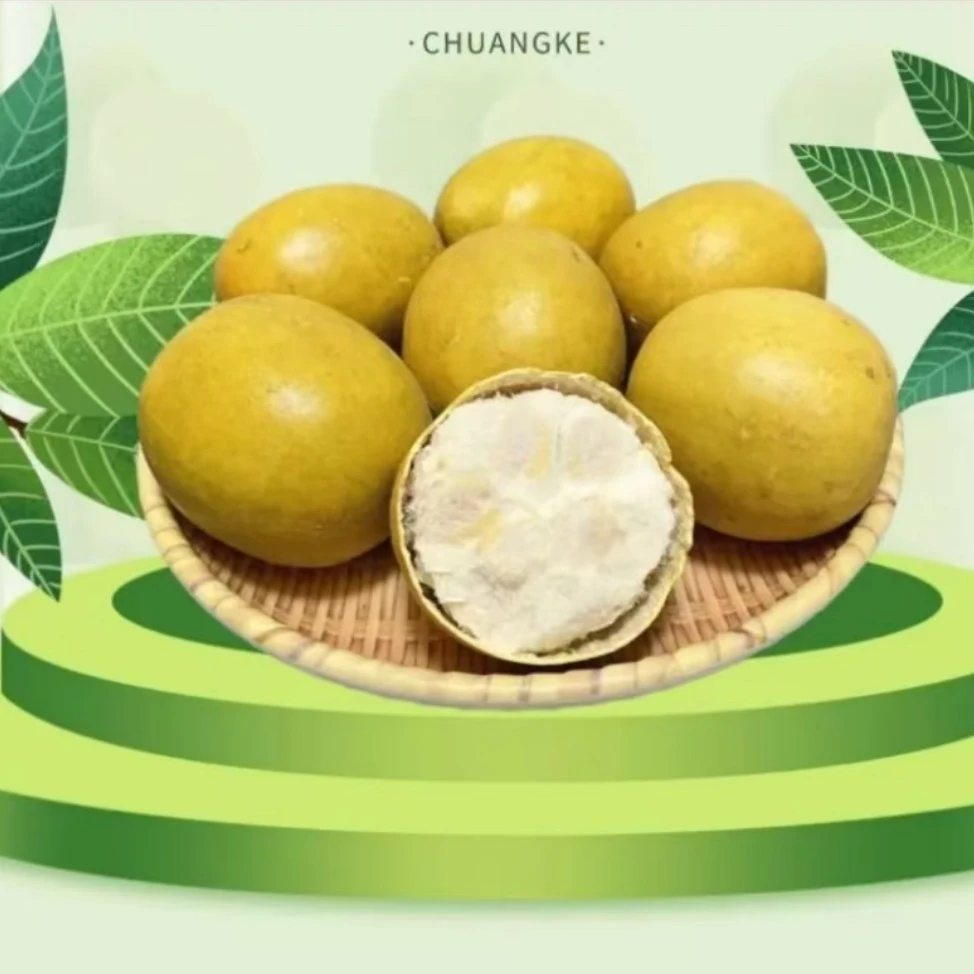 广西桂林罗汉果大果干果低温脱水独立包装泡茶专用罗汉果泡水专用