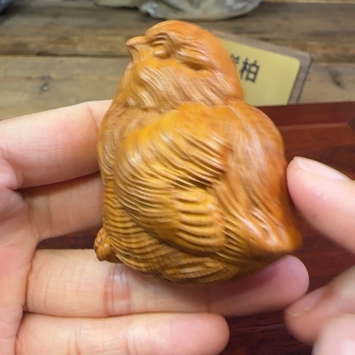 柏木（崖柏）崖柏1111111