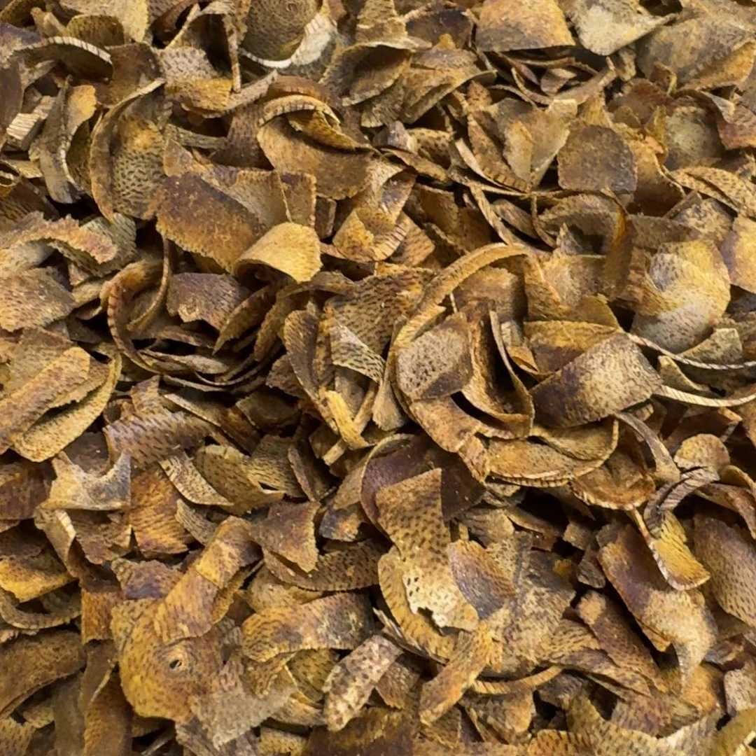 沉香沉香碎屑乌身圆叶一代苗切片20克