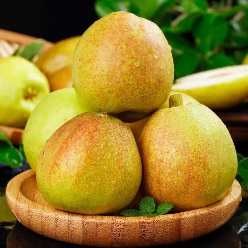 【顺丰快递】新疆库尔勒香梨全母梨脆甜爆汁新鲜香甜产地直发梨子