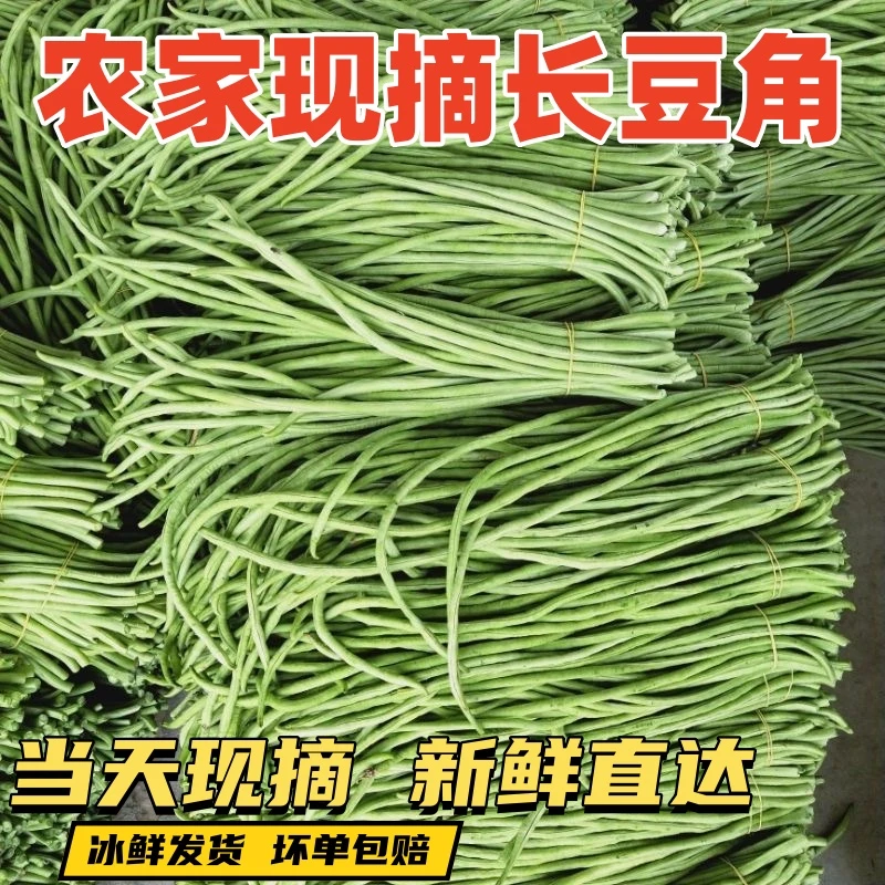 湖北农家新鲜豇豆脆嫩长豆角腌酸豆角泡菜豆角时令蔬菜现摘现发