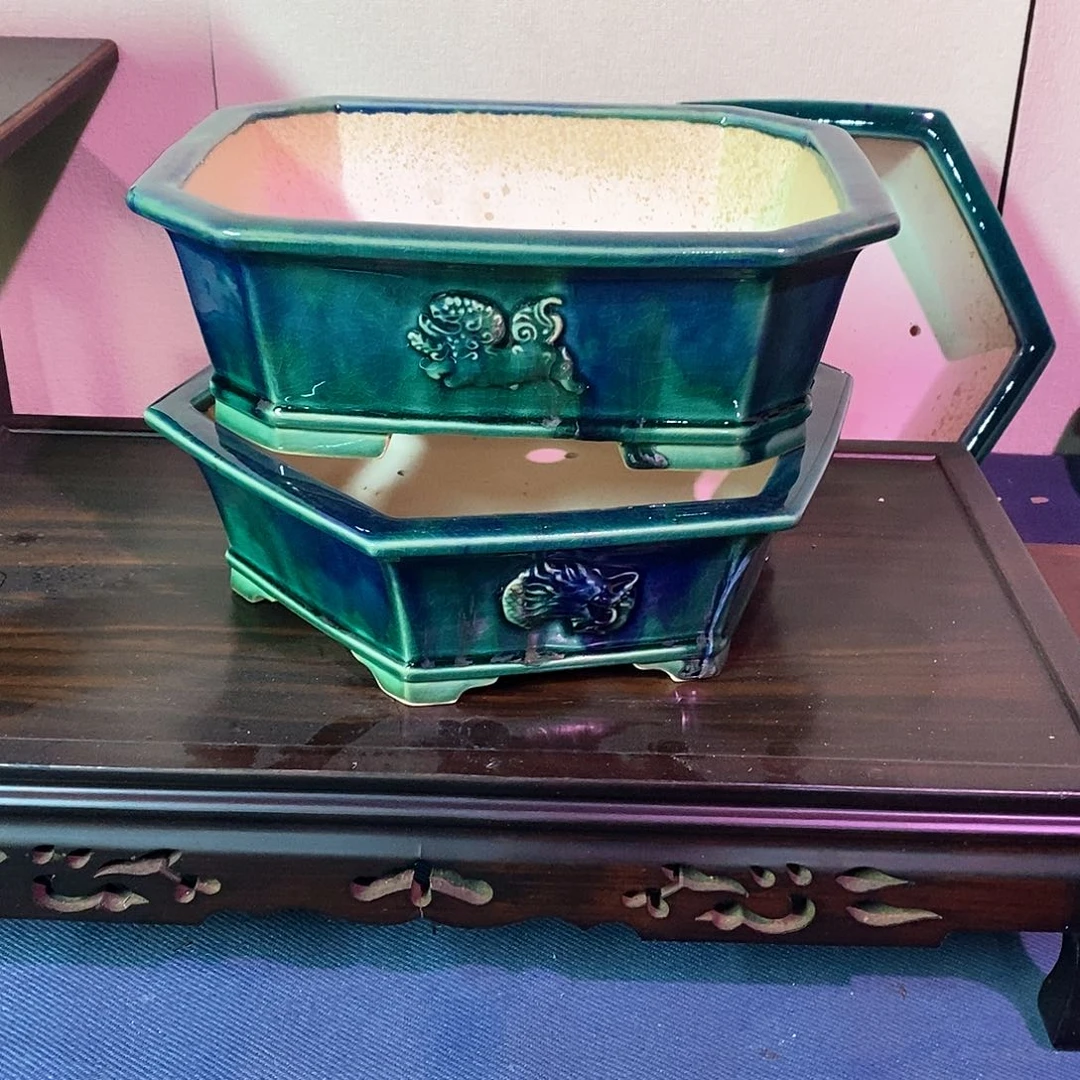 盆景六方19x11包邮韶***y