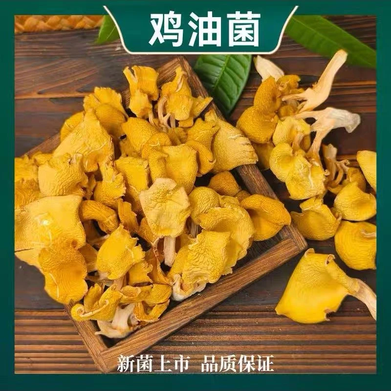 豪媳妇（高山鸡油菌）优质精选干货品质脆嫩爽口好吃营养高煲汤