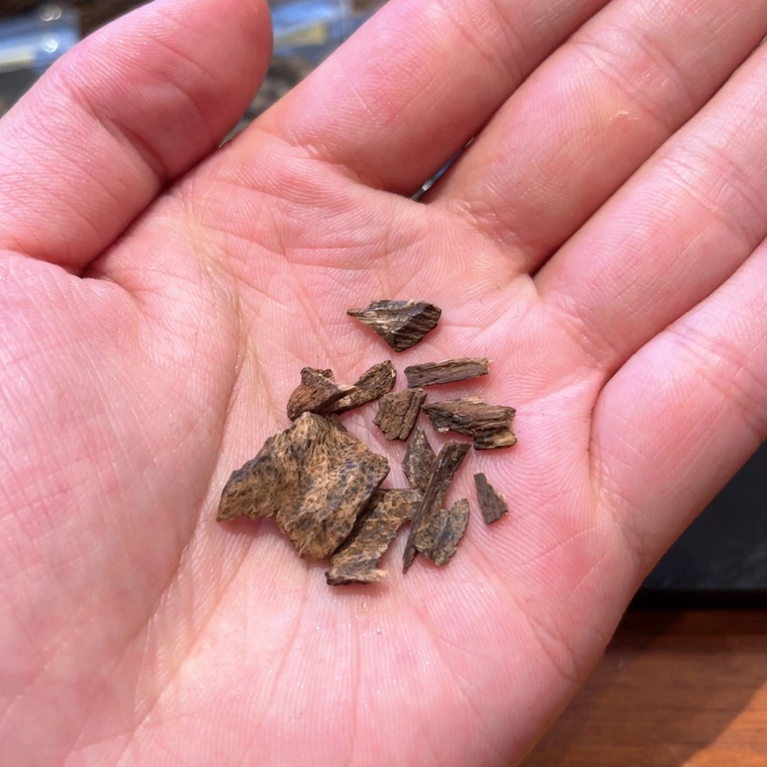 沉香吊坠海南沉水香1g