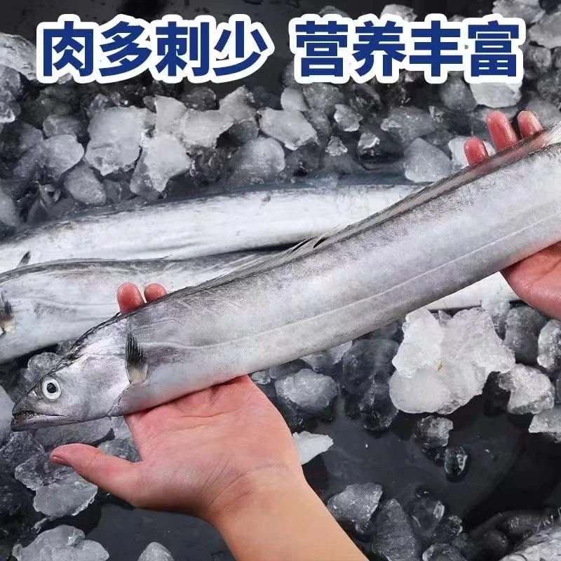 (整条发)野生海捕灯光黑眼带鱼5-6两/条 发8条 速冻发顺丰4.5-5斤
