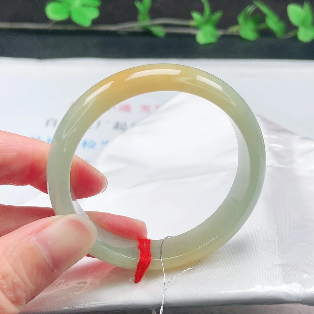 未镶嵌手镯翡翠49圈