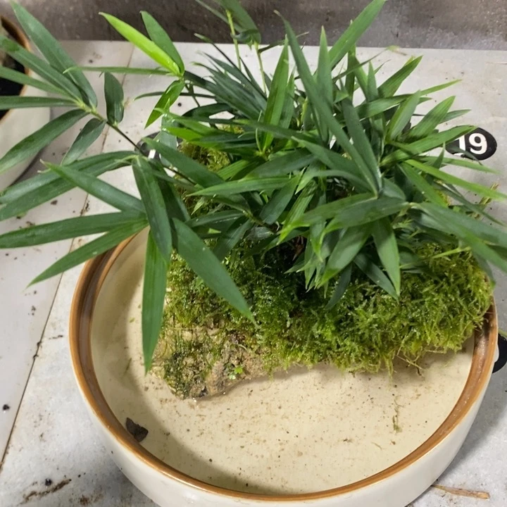 空*白退款拉黑一物一拍68