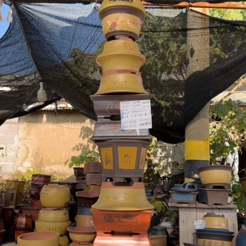 紫砂花盆特价包邮送盒