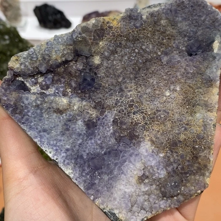 C***鱼石材花园莫兰迪满天星花花幻影