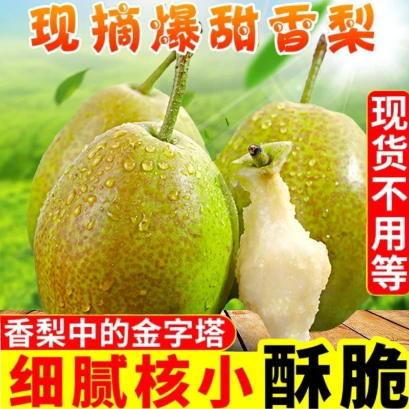 山西红香酥梨香梨脆甜多汁皮薄无渣产地直发新鲜水果