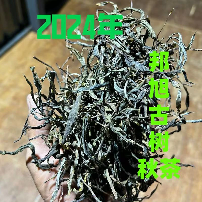2024年邦旭古树秋茶