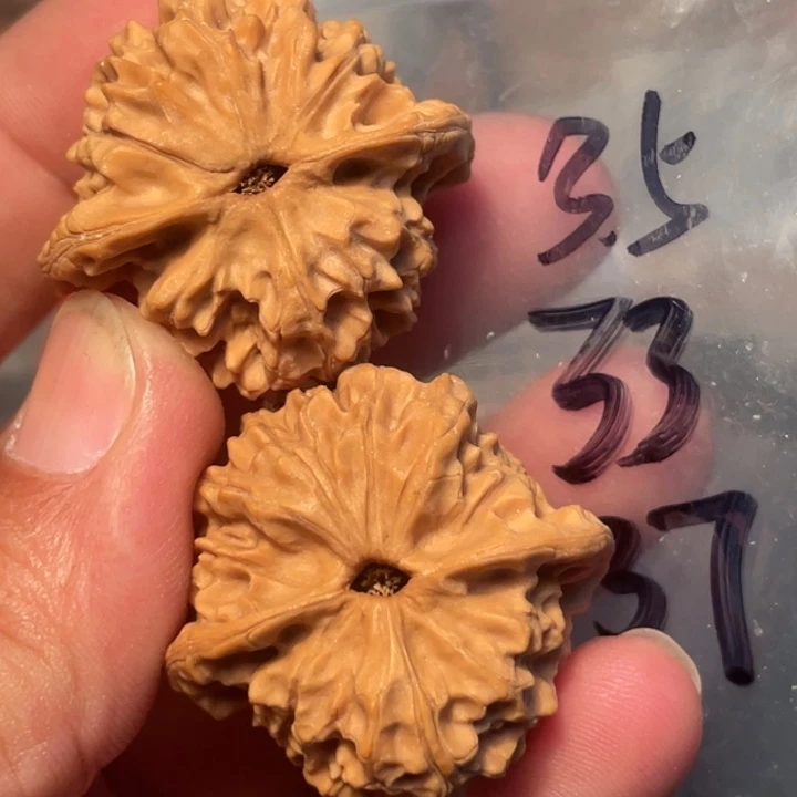 豆***浆吊坠猴头核桃野生千年鸡