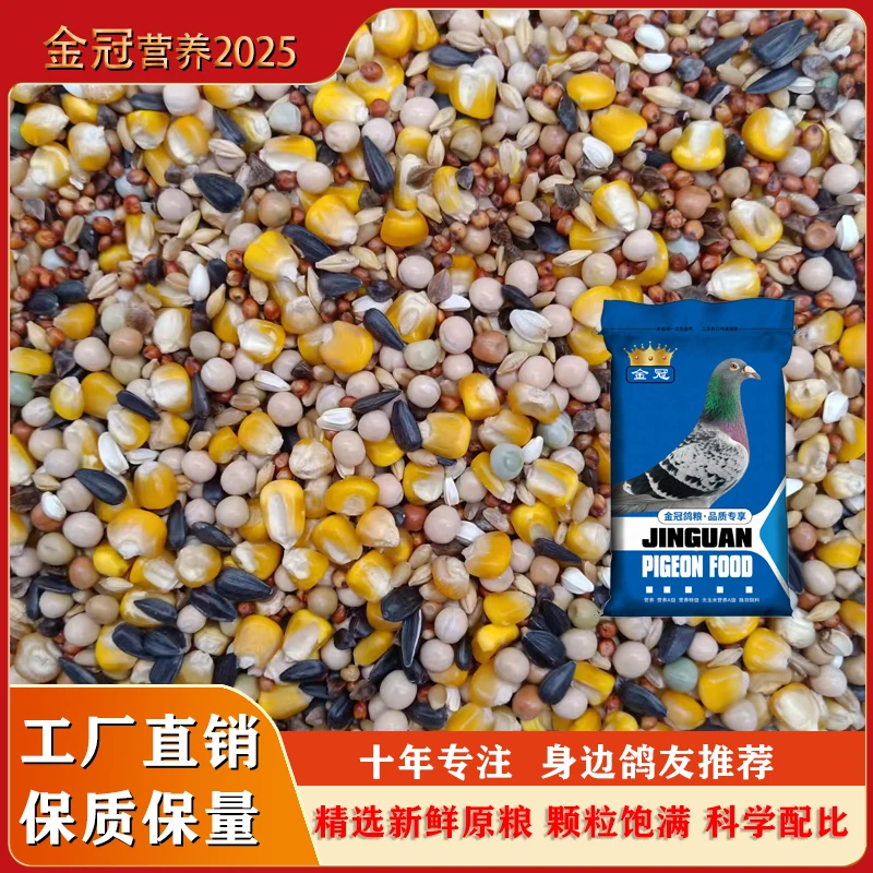 山东金冠新品营养2025款大包装48斤种鸽肉鸽观赏鸽子饲料