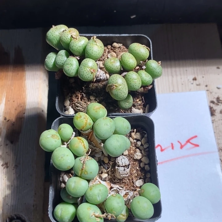 琳*22125一组一组一组