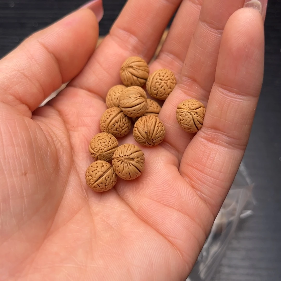 叮***张木质类散发散籽，520米