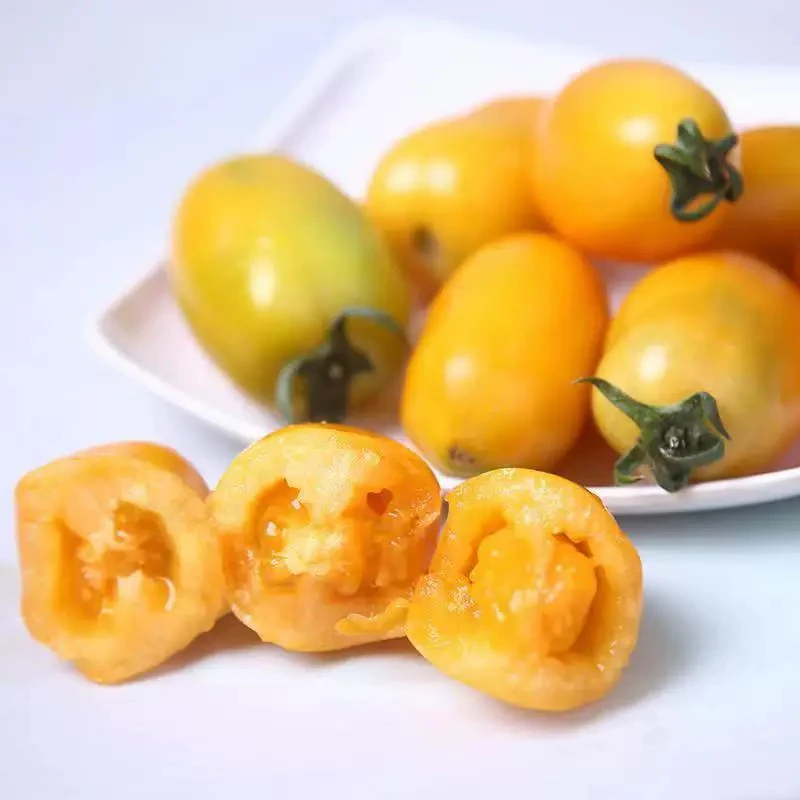 东北黑土地黄柿子