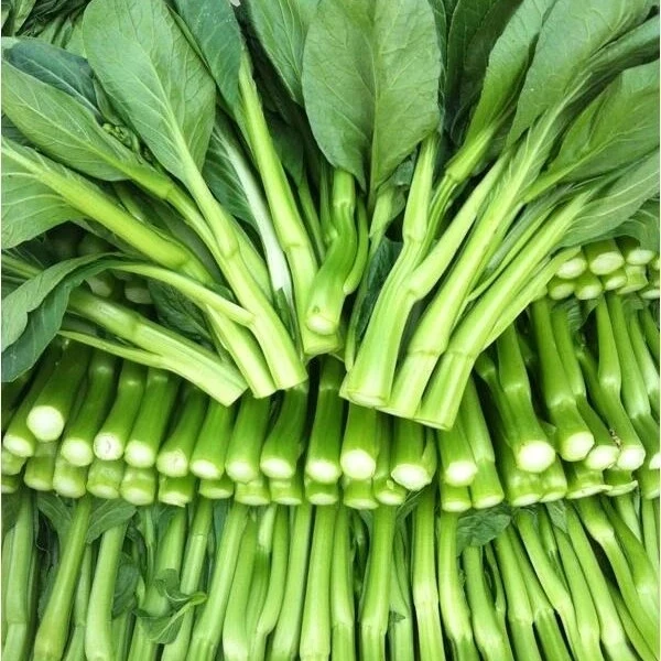 爆款套餐广心菜一斤西葫瓜一斤本地香辣一斤