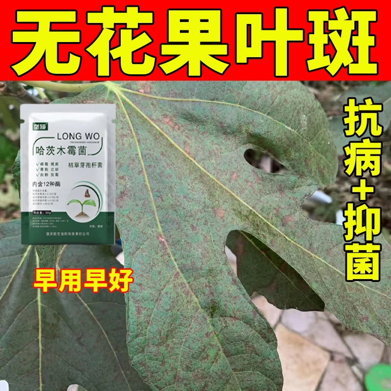 无花果叶面病害专用肥料无花果锈病叶斑黑斑黄叶卷叶皱缩叶面肥料