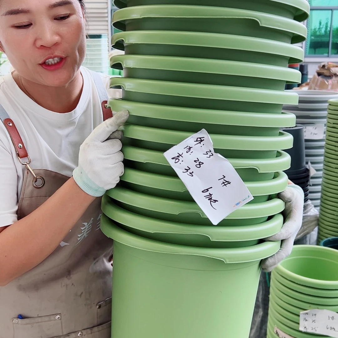 瑕疵四季盆7#果绿色6个无托