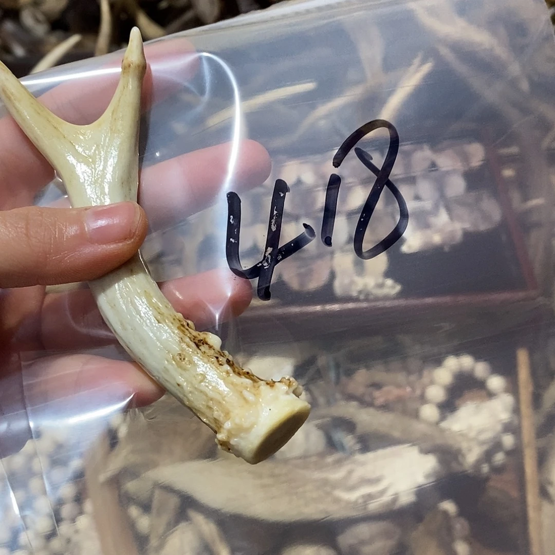 刘***波非金属鹿角鹿角鹿角