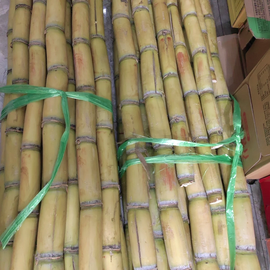 纯果肉（去皮去节）甘蔗一份约1000g