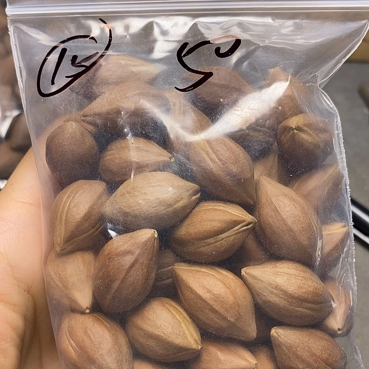 橄榄核手串/手链（****）橄榄核