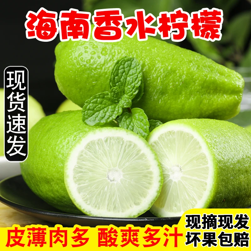 正宗海南香水柠檬当季新鲜水果1-9斤无籽时令青柠檬奶茶店专用批