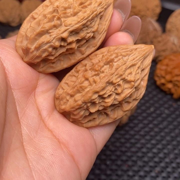 秦岭野生222222222