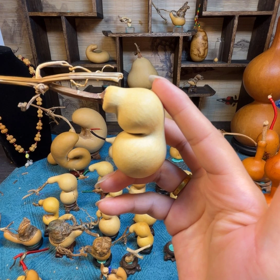 小***5精品蚂蚁嘎嘎漂亮哦